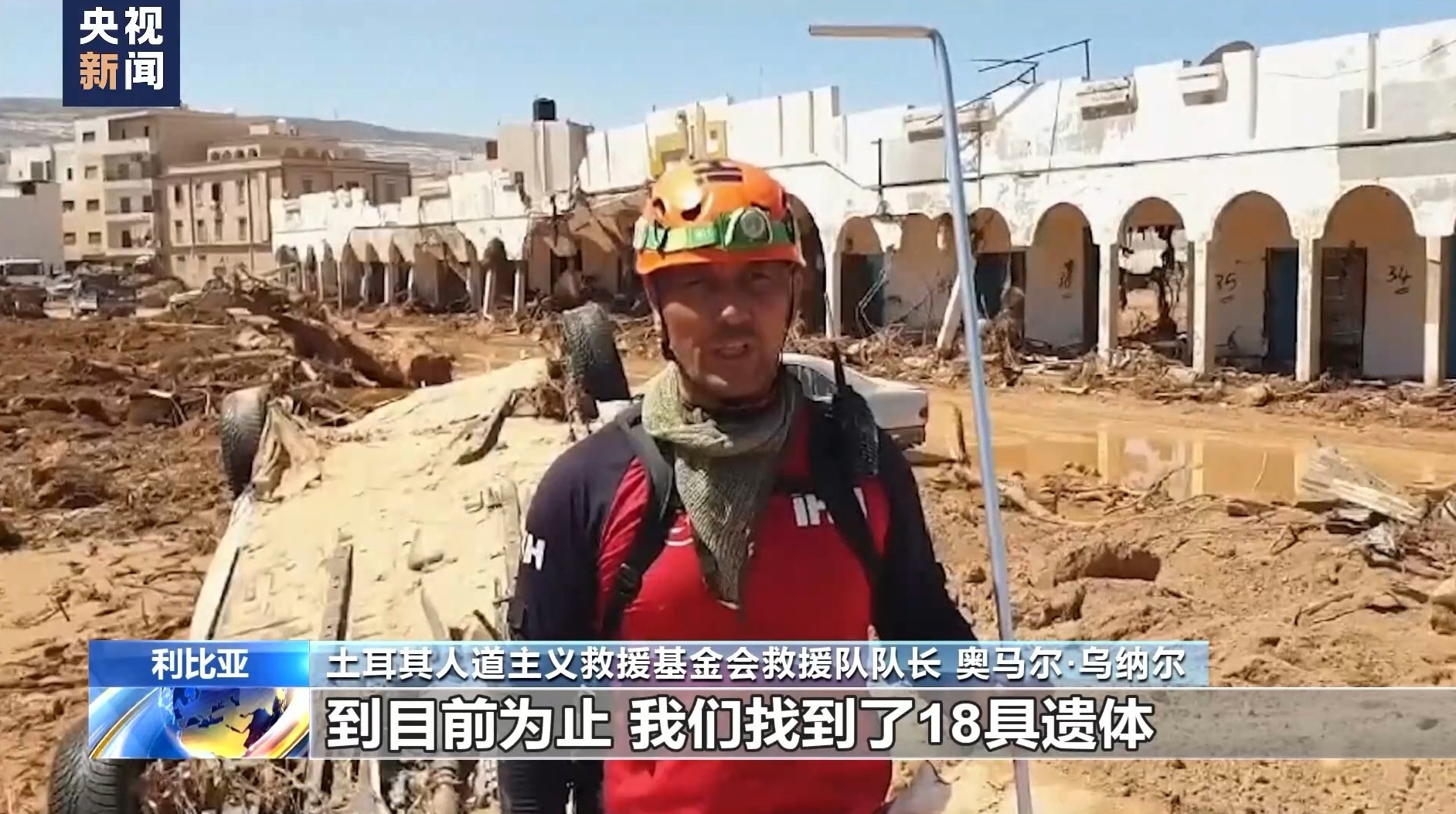 鲨王软件能赢钱吗